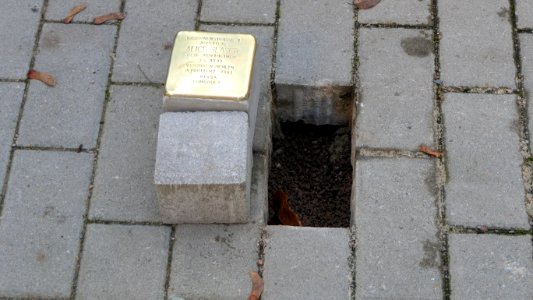 Stolperstein für Alice Glaser, Clara-Zetkin-Straße 1, Chemnitz (4)