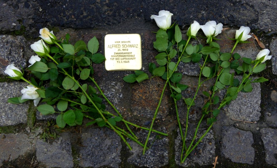 Stolperstein für Alfred Schwarz, Georgplatz, Dresden (3)