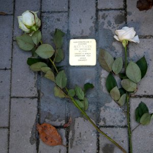 Stolperstein für Alice Glaser, Clara-Zetkin-Straße 1, Chemnitz (2)