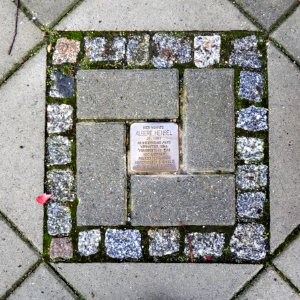 Stolperstein für Albert Hensel, Volkersdorfer Strasse 3, Dresden (2)