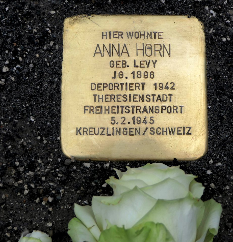 Stolperstein für Anna Horn, Beckerstraße 11, Chemnitz (2)