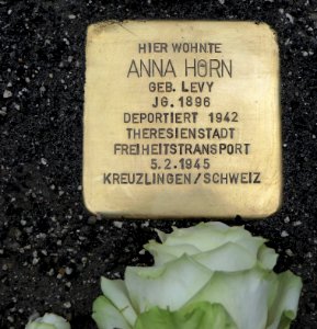 Stolperstein für Anna Horn, Beckerstraße 11, Chemnitz (2)