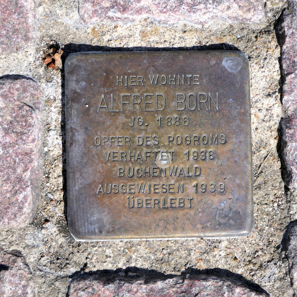 Stolperstein für Alfred Born, August-Bebel-Strasse 63, Meerane