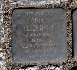 Stolperstein für Dina Ledermann, Dr.-Friedrichs-Ring, Zwickau