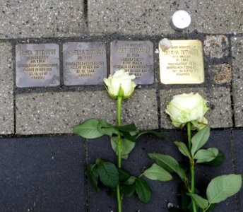 Stolperstein für Bertha Tittmann, Annenstraße 20, Chemnitz (1)