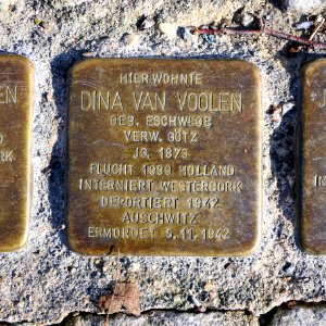 Stolperstein für Dina van Voolen, Kassbergstrasse 22a, Chemnitz