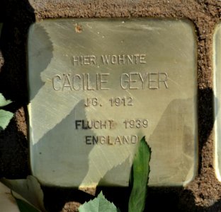 Stolperstein für Cäcilie Geyer, Mathildenstrasse 15, Dresden