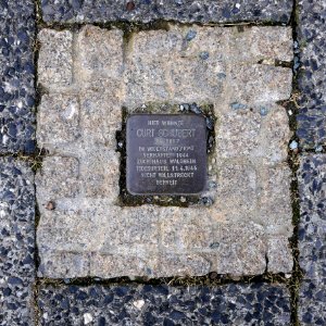 Stolperstein für Curt Schubert, Münchner Strasse 31, Chemnitz (1)