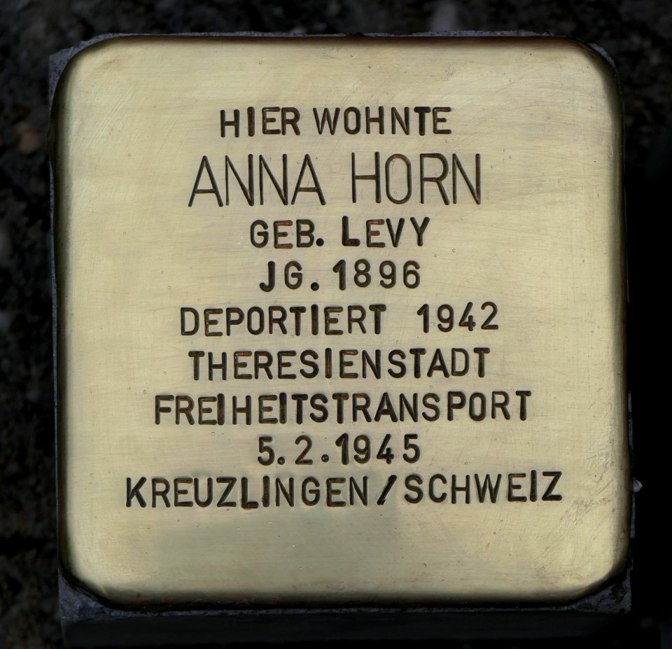 Stolperstein für Anna Horn, Beckerstraße 11, Chemnitz (1)
