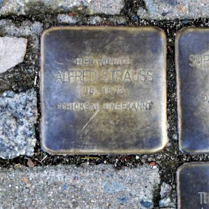 Stolperstein für Alfred Strauss, Nossener Strasse 11, Roßwein