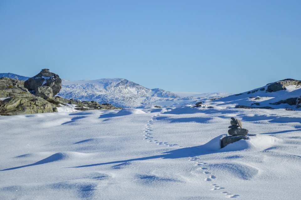 Snow winter rocks photo