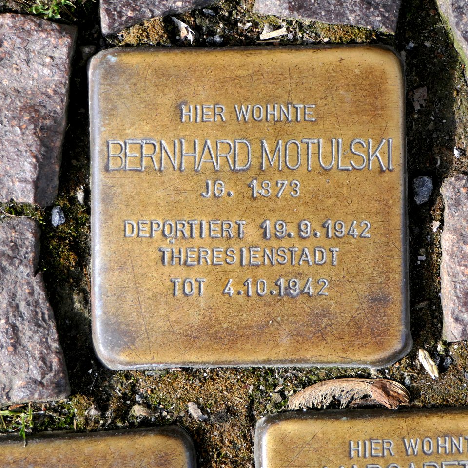 Stolperstein für Bernhard Motulski, Lange Strasse 58, Grimma