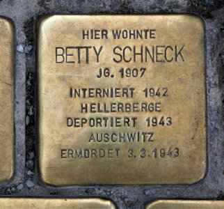 Stolperstein für Betty Schneck, Seestraße 7, Dresden