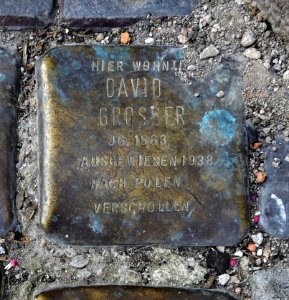 Stolperstein für David Grosser, Leipziger Strasse 15, Zwickau