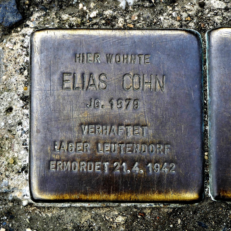 Stolperstein für Elias Cohn, Külzufer 16, Zittau