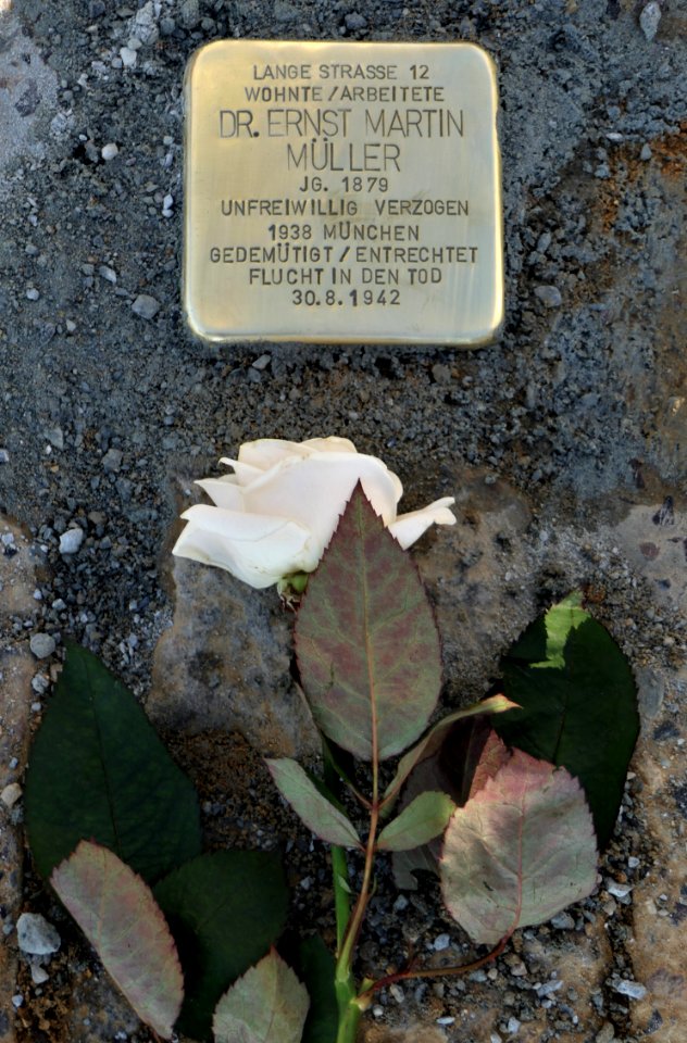 Stolperstein für Dr. Ernst Martin Müller, Bahnhofstraße 74, Chemnitz (2)