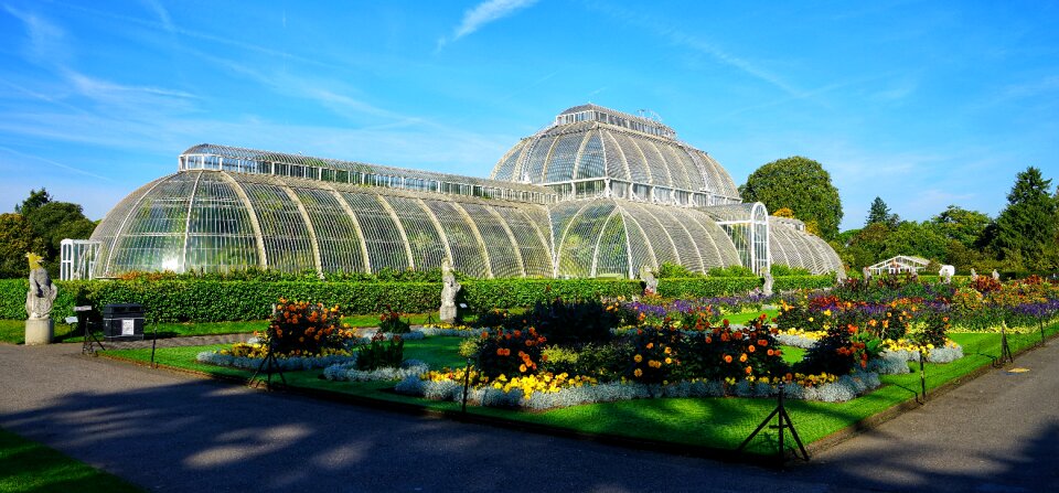 Botanical gardens kew photo