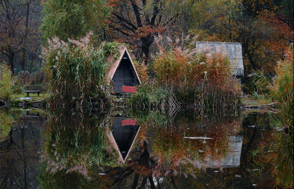 Forest lake landscape park