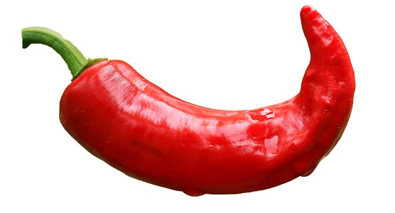 Red chili paprika photo