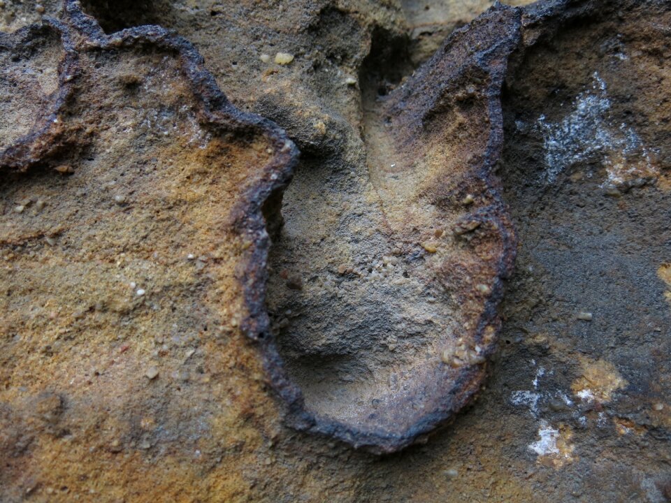Elbe sandstone mountains weathered corrosion