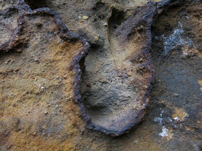 Elbe sandstone mountains weathered corrosion