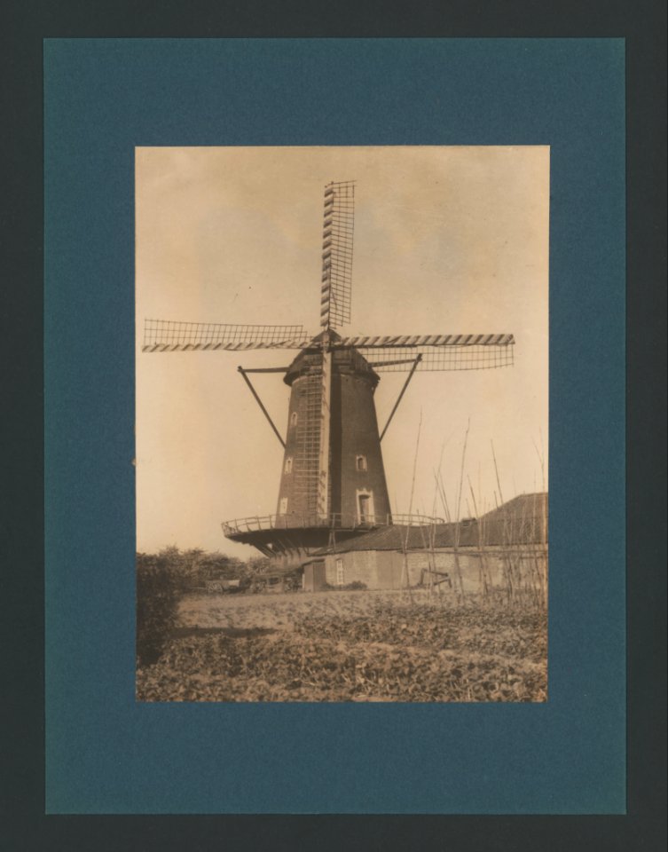 6038152.Erwin Quedenfeldt