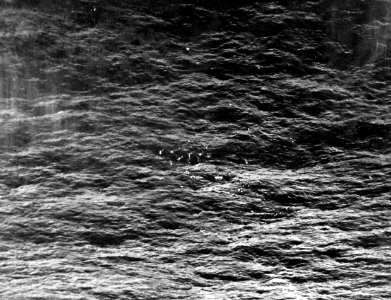 80-G-77198 (32086667622)