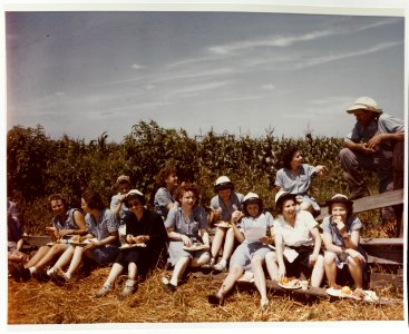 80-G-K-14242 - ISTC Yeomen on lunch break in corn field (ca 1944)