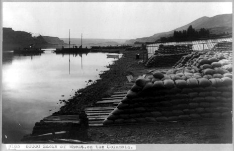 80000 sacks of wheat on the Columbia LCCN2012646377