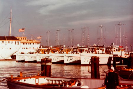 80-G-K-13846 U.S. Naval Academy, Annapolis, Maryland
