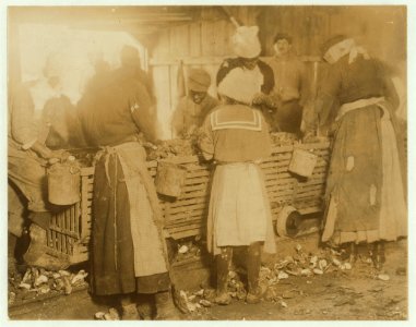 A crowd of negro oyster shuckers. On the Atlantic Coast the negroes are employed more than the whites, but they do not work the little ones so much. Varn & Platt Canning Co. LOC nclc.01017