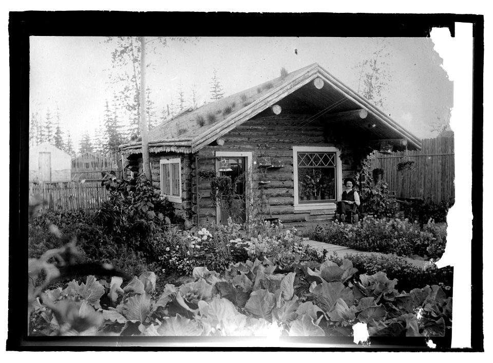 A cottage & garden, Alaska LCCN2016821817