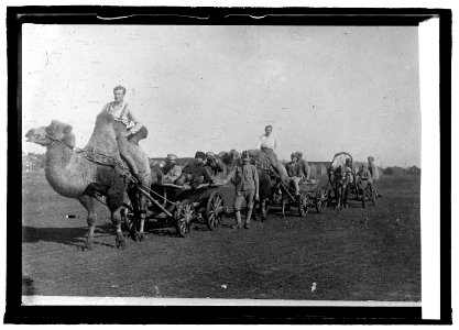 A Czecho-Slovak scouting party on the lower Volga in Russia LCCN2016822061