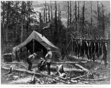 A Deer Camp in the Michigan Woods LCCN2005677827