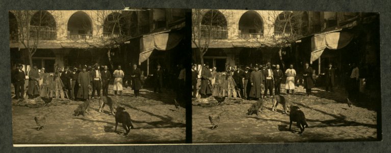 A fur shop of Constantinople, Turkey LCCN2004672928