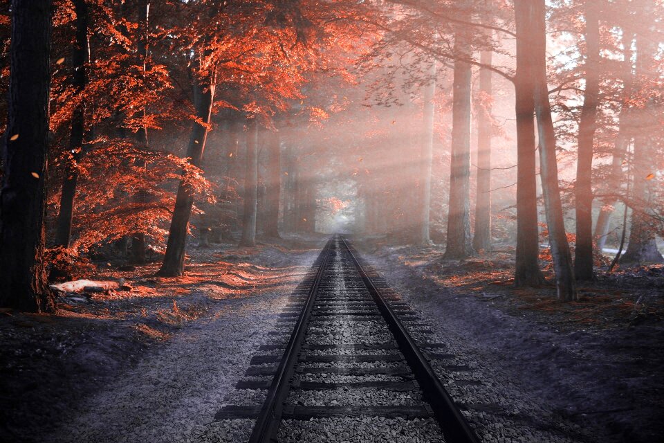 Rails autumn colors