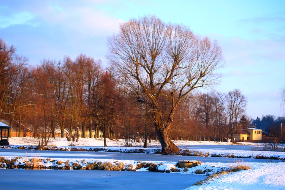 Ice winter day nature