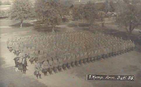 Armierungs-Bataillon 55 (1. Kompanie)