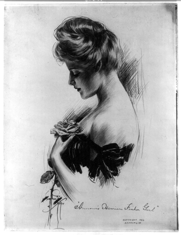 Armour's Harrison Fisher girl LCCN2002709635