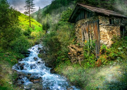 Austria stones trees photo