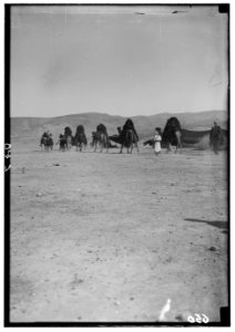 Bedouin wedding series. Wedding procession LOC matpc.00082