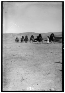 Bedouin wedding series. Wedding procession LOC matpc.00083