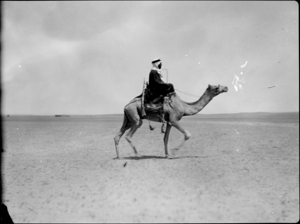 Bedouin on camel LOC matpc.15043