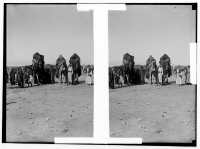 Bedouin wedding series. Wedding procession ready to start LOC matpc.01339