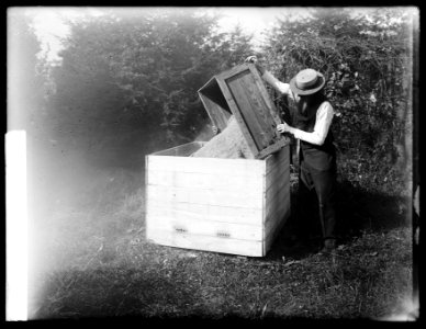 Bee story, storage, 10-11-19 LCCN2016852899