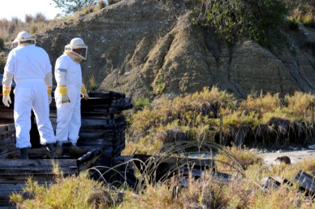 BEEF Beekeepers DVIDS272179
