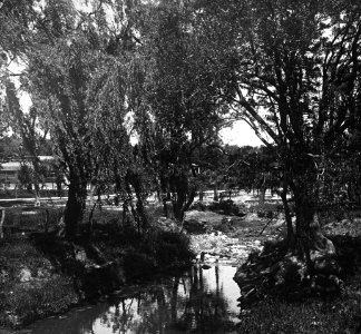 C35f342. Vista de una cañada