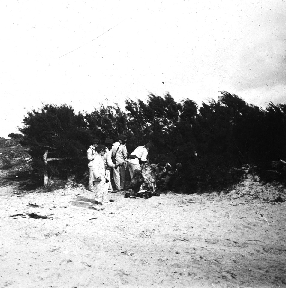 C42f411. Batallón de Infantería Asado