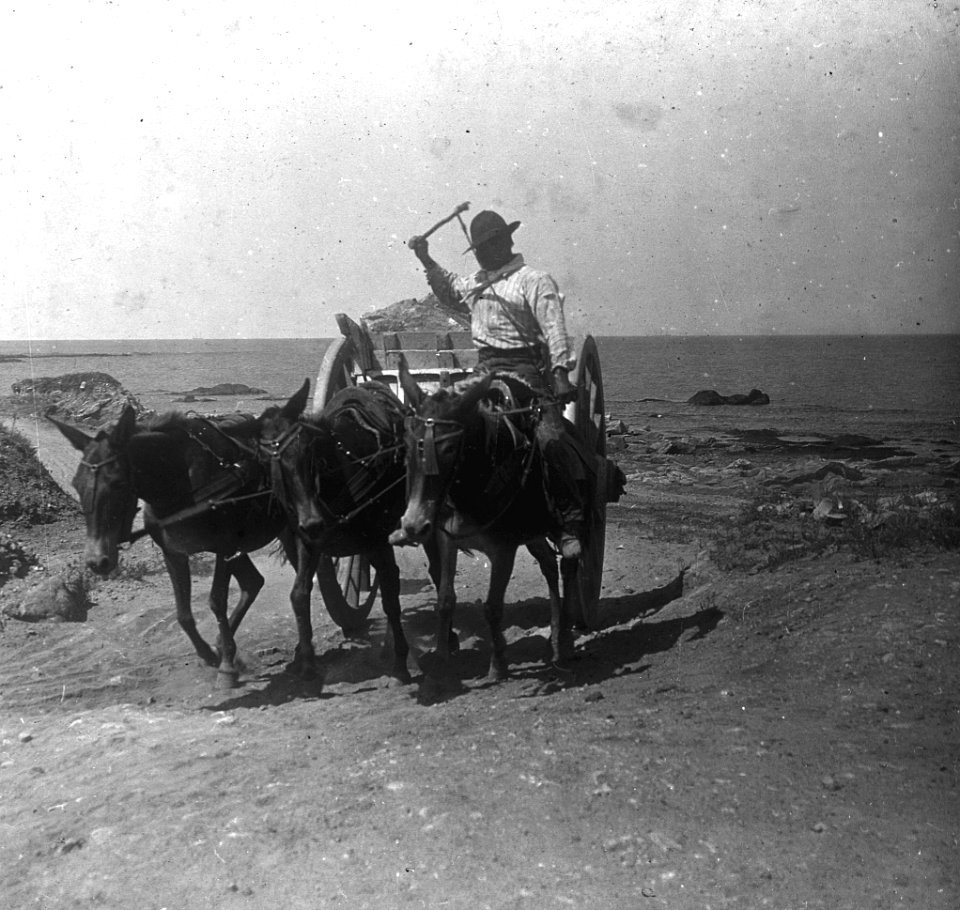 C37f367. Transportando piedras