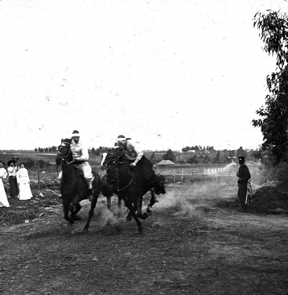 C34f332. Penca. La carrera